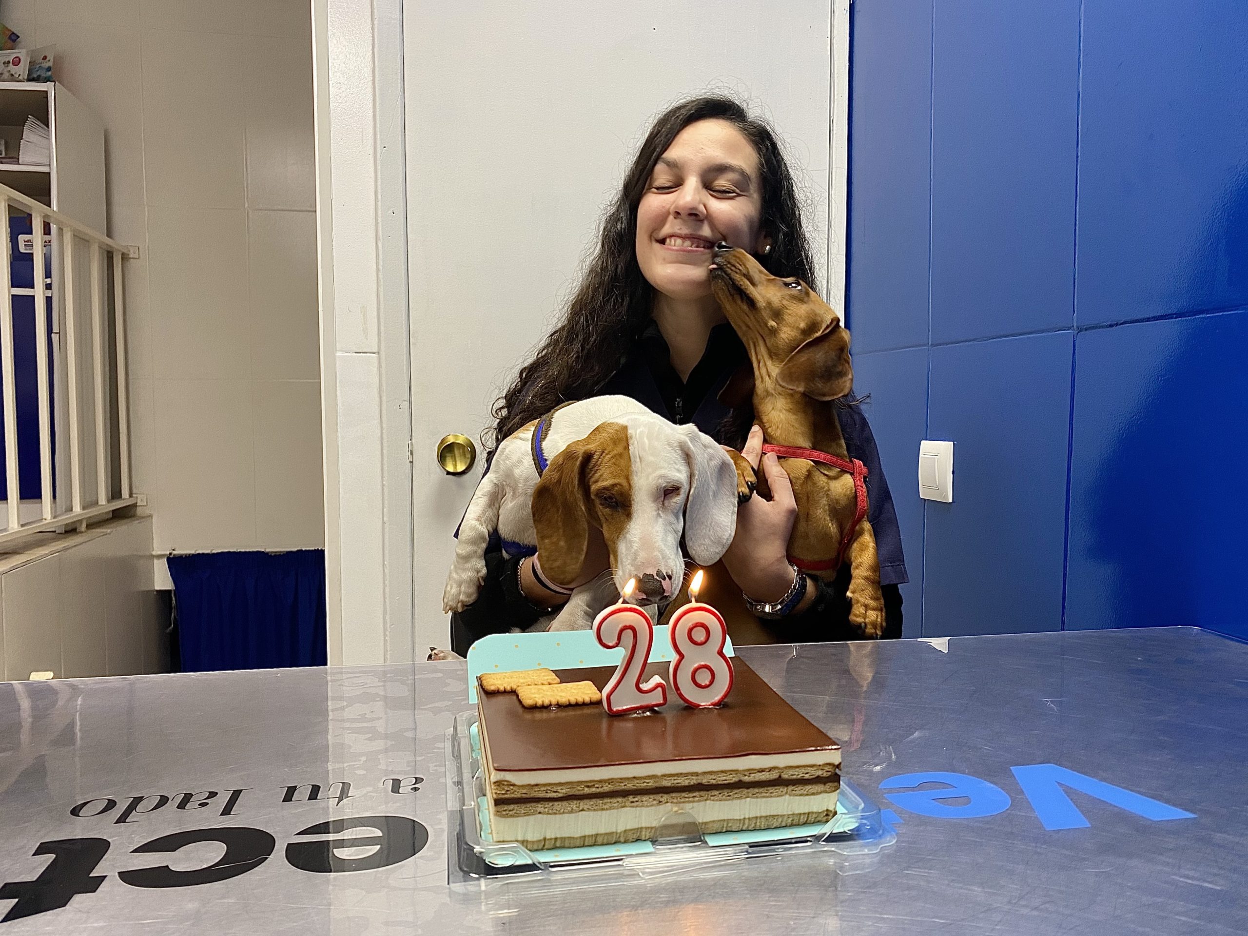 Celebrando el cumpleaños de nuestra veterinaria favorita